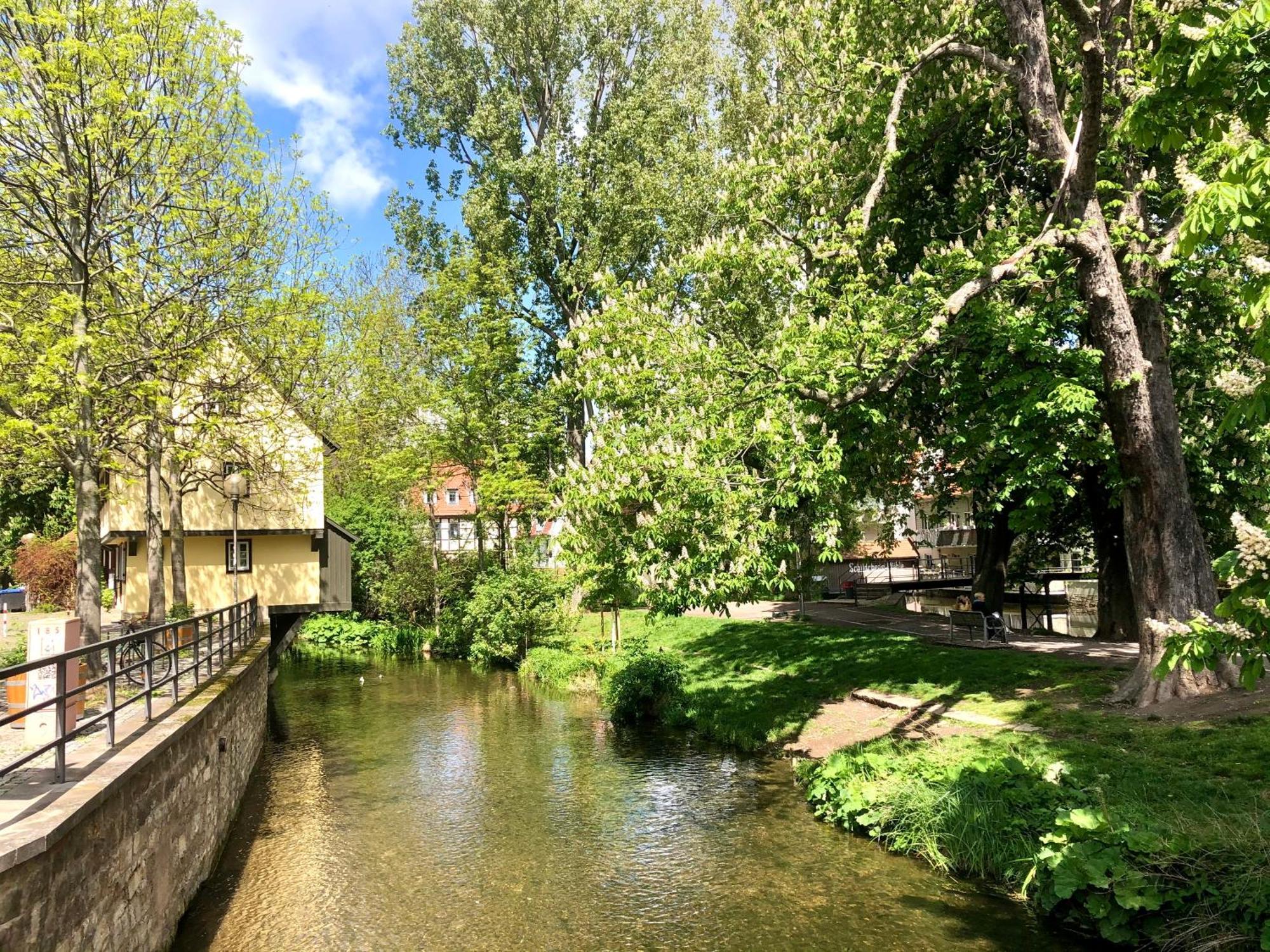 Ferienwohnung Augenblick - Stylisches Apartment In Der Besten Altstadtlage Von Erfurt Exterior foto